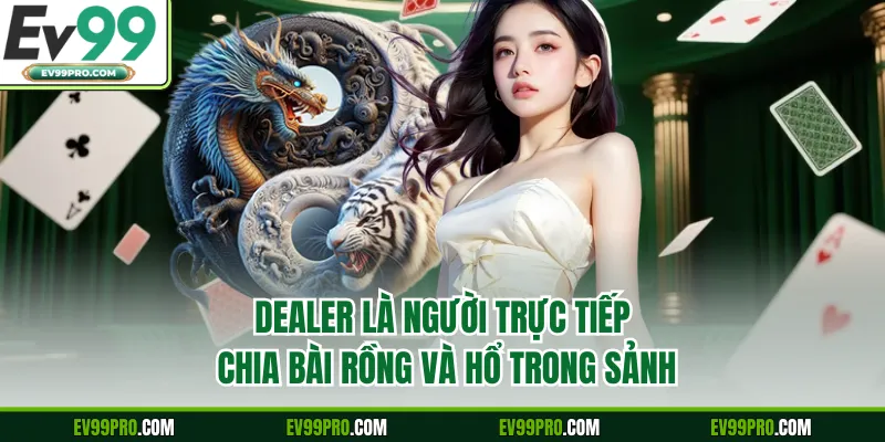 Dealer là người trực tiếp chia bài Rồng và Hổ trong sảnh