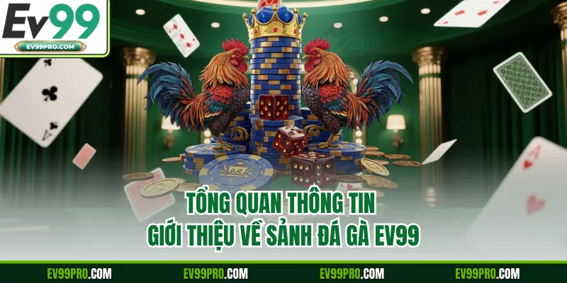 Tổng quan thông tin giới thiệu về sảnh đá gà EV99